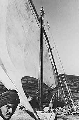 Boat on Red Sea photo image