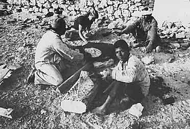 Crew Baking Bread photo image