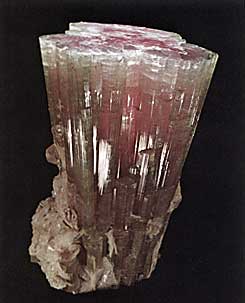 Elbaite Tourmaline Crystal from Laghman, Nuristan, Afghanistan photo image