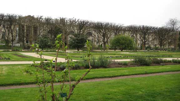 Jardin des Plantes photo image