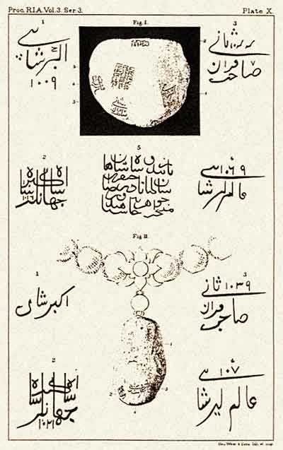 Plate X. Figs. I and II