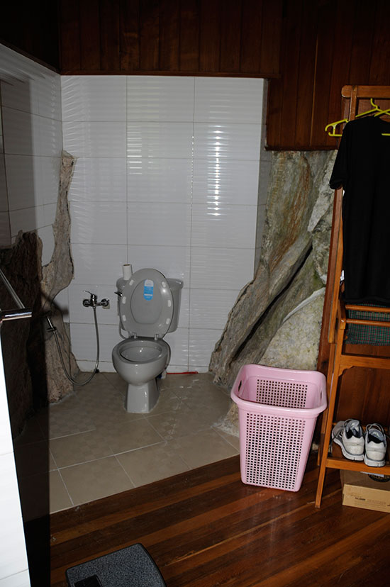 Toilet photo image