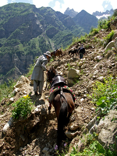 Hauling Supplies photo image