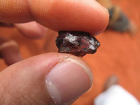 Garnet photo image