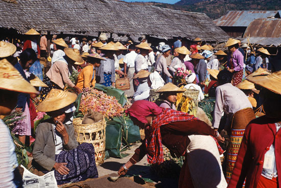 Women's Market photo image