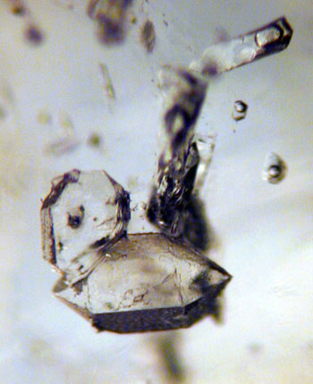 Quartz Crystals microphoto image