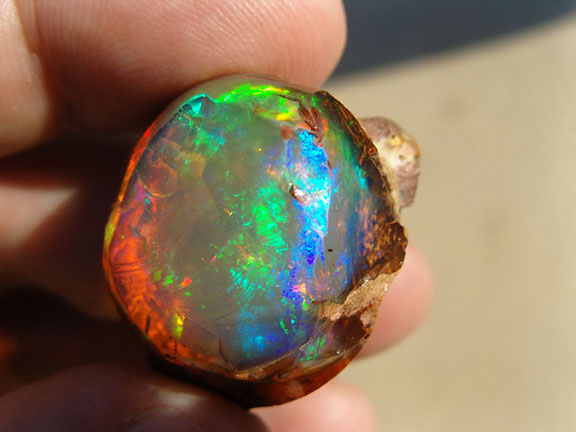 Opal photo image