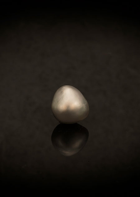 An Ingrained Bond: the Story of the Pearl and the Oyster