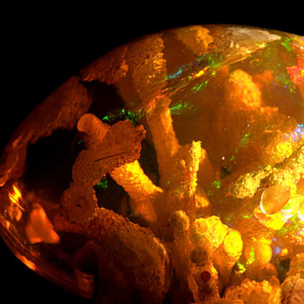 Opal photo image