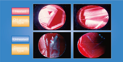 Laser Tomograph of Ruby photo image