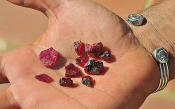 Rubies photo image