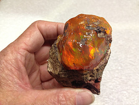 Opal photo image