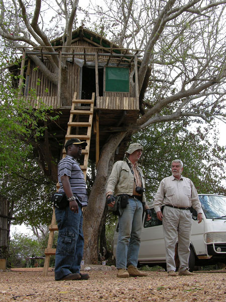 Tree House photo image