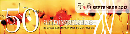 AFG logo image