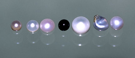 Scottish River Pearls photo image