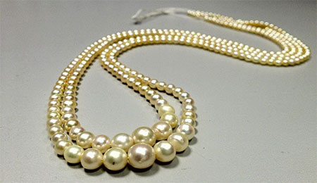 Pearls photo image