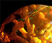 Mexican Fire Opal photo image
