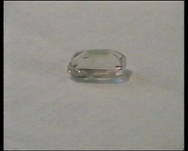 Spudomene photo image