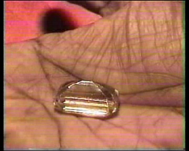 Spudomene photo image