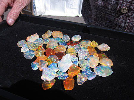 Opal photo image
