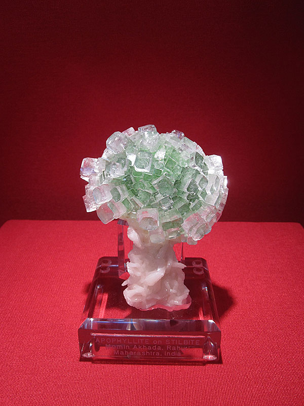 Apophylite Tree photo image