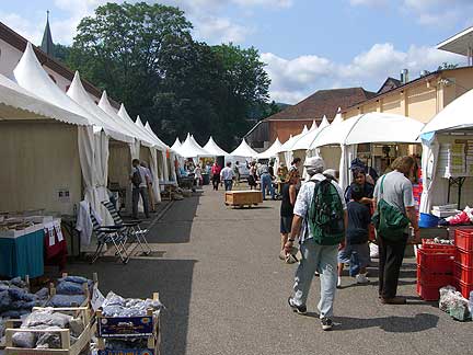 Vendors photo image