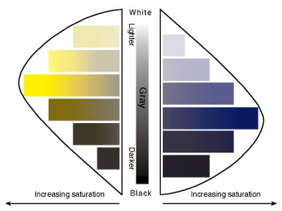 Tone and Saturation chart image