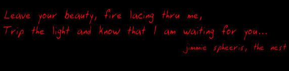 Leave your beauty, fire lacing thru me, Trip the light and know that I am waiting for you... - Jimmie Spheeris, The Nest quotation image