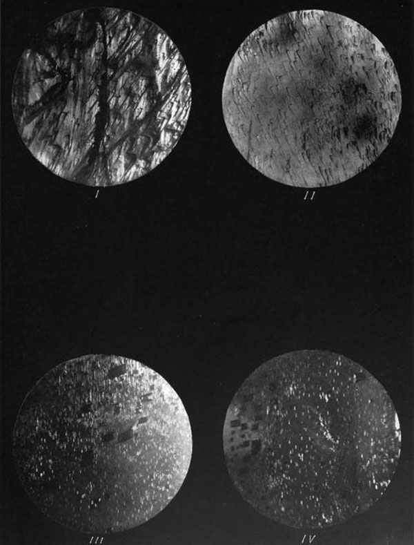 Natural Etch Figures On Spodumene photomicrogaph images