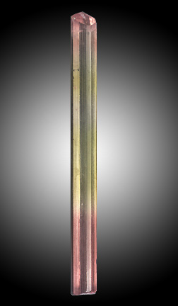 Tourmaline photo image